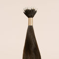 Nano Bead Certification Course with Kelsey Tiefenbach via Zoom (January 13th) - Philocaly Hair Extensions