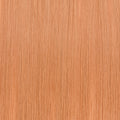 Invisible Tapes - Philocaly Hair Extensions