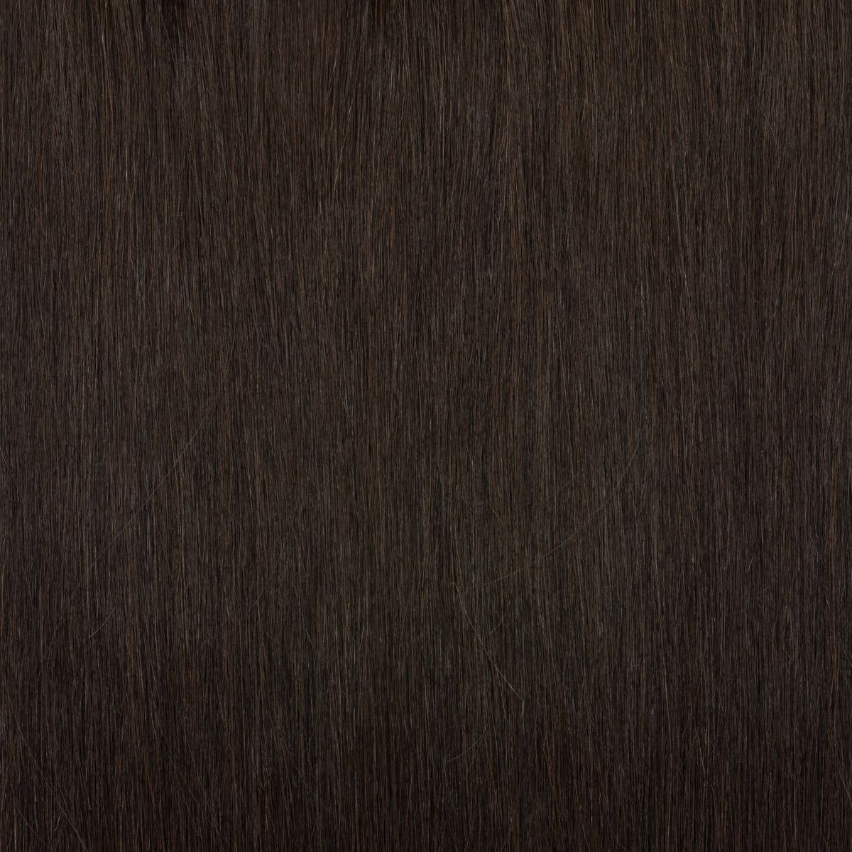 Seamless Clip-ins - Philocaly Hair Extensions 