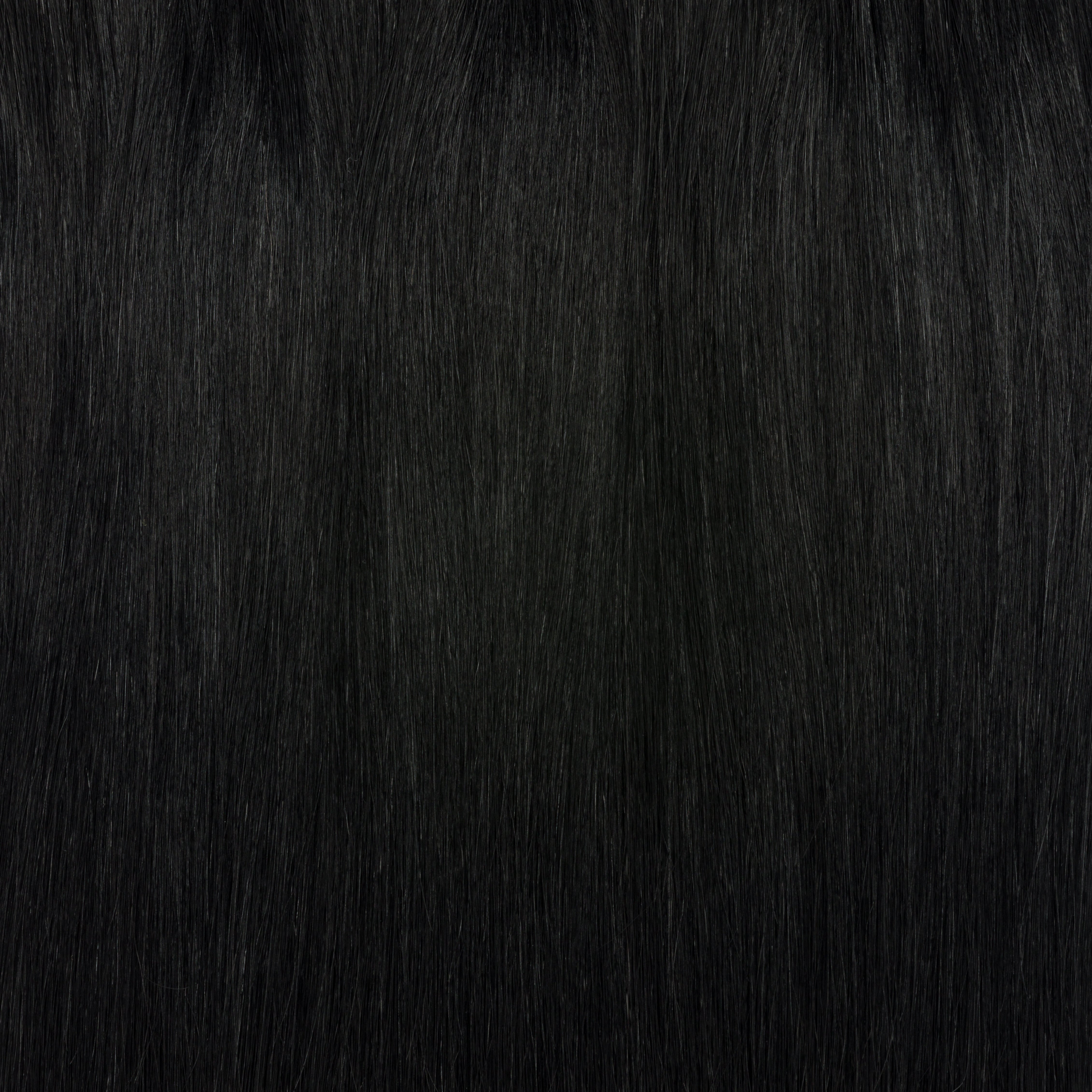 Genius Wefts - Philocaly Hair Extensions 