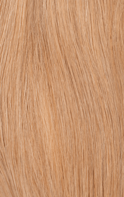 Philocaly Hair Extensions Extensions With A Tan (Invisible Tape-Ins)